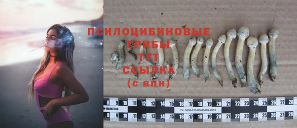 прущие грибы Нея