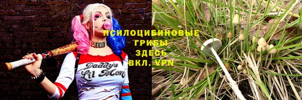 хмурый Алексин