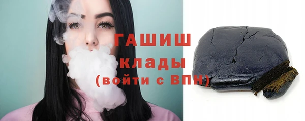 хмурый Алексин