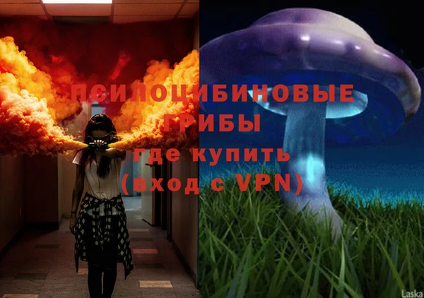 ECSTASY Алексеевка