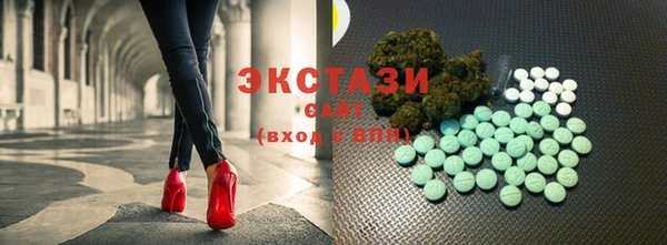 хмурый Алексин